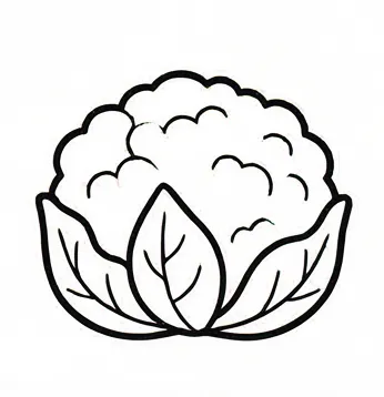 a drawing of a caulia.webp